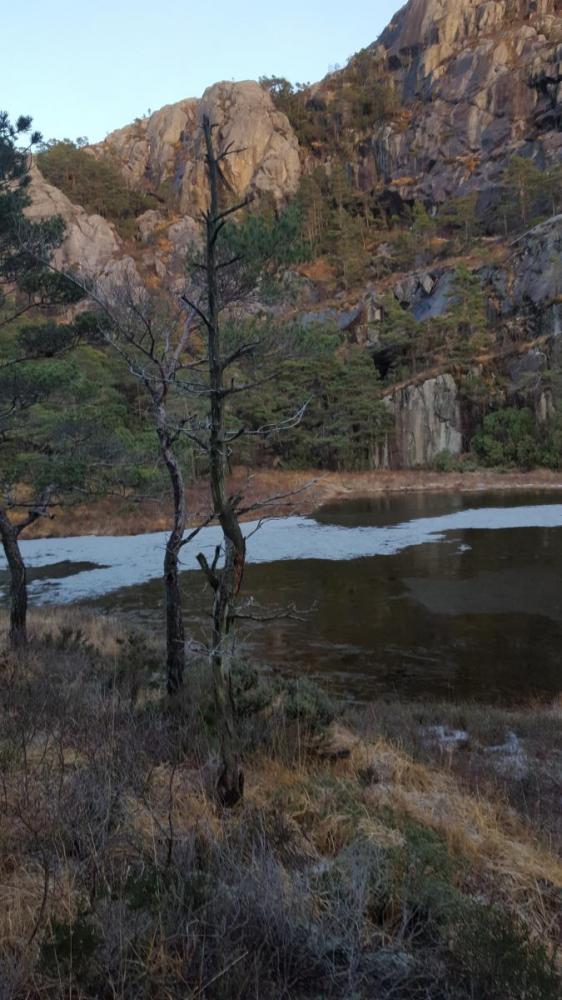 Vest for hatten, Forsand 2.jpg