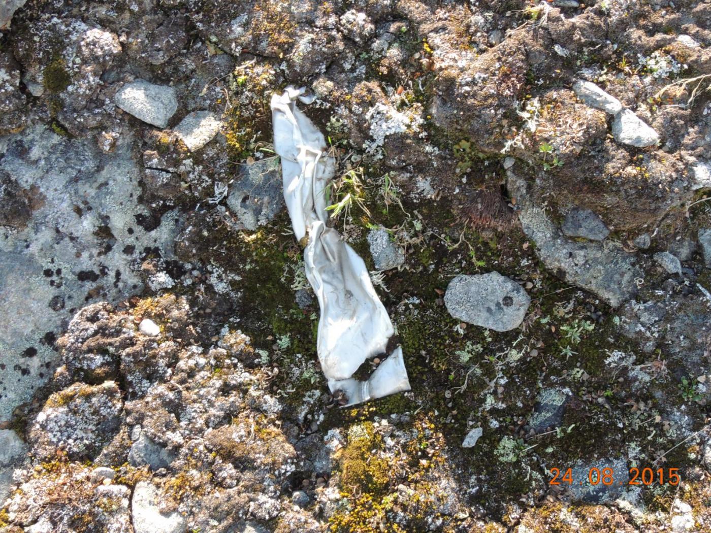 DSCN4034.thumb.JPG.cd851319c9d3b66078237