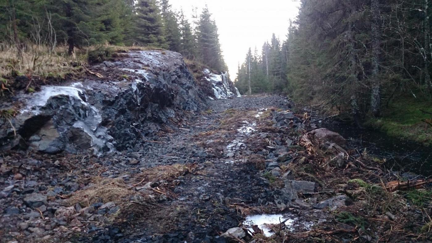 DSC_0047b.thumb.JPG.82b2bffcf2386bb28916