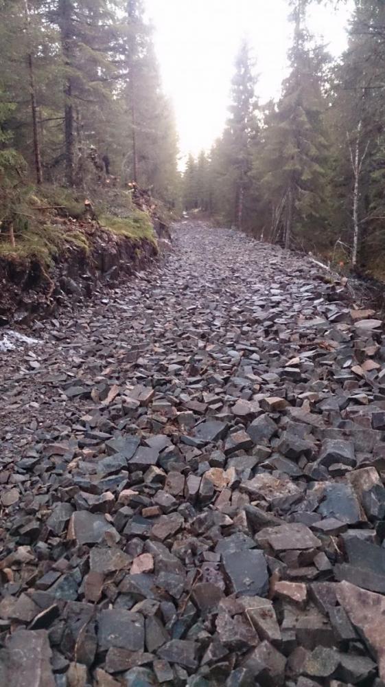 DSC_0051b.thumb.JPG.a6e66e26edb07bcf8911