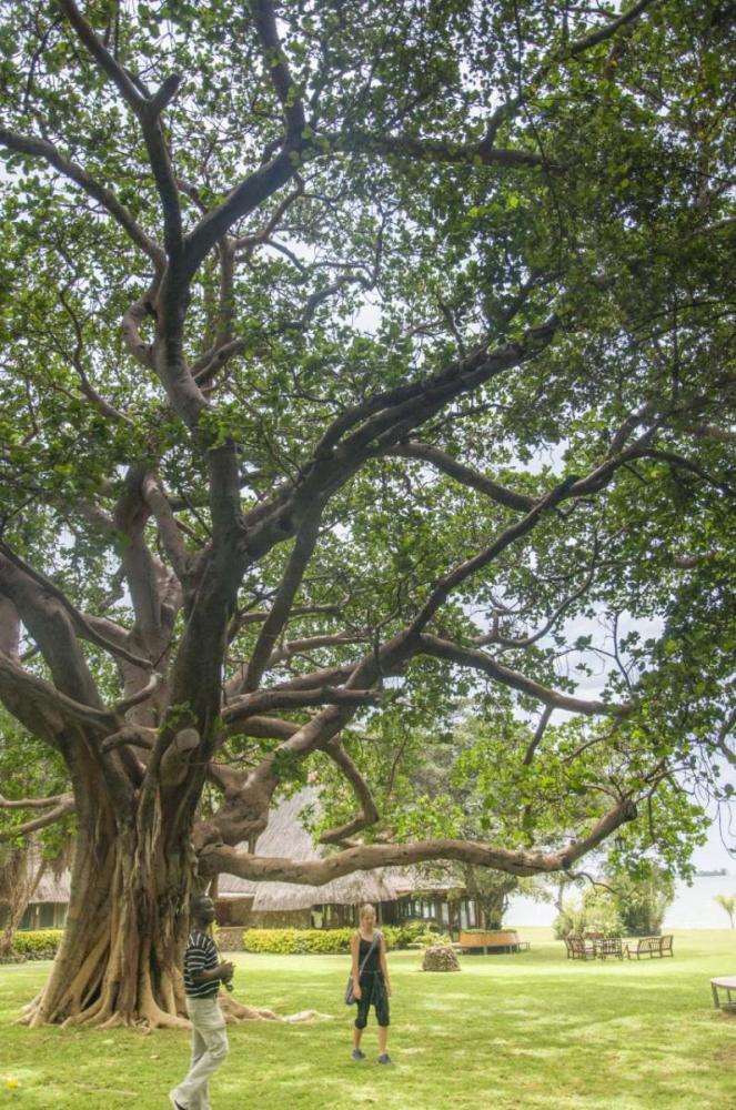 DSC_6861.thumb.jpg.faa0e0e72d93b5033cb34