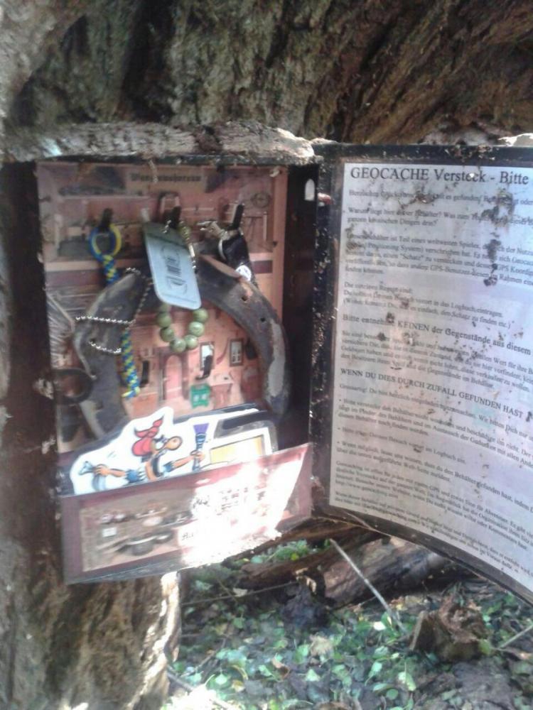 Geo2.thumb.jpg.0dfc5e8d8c940d36cd7b7159e