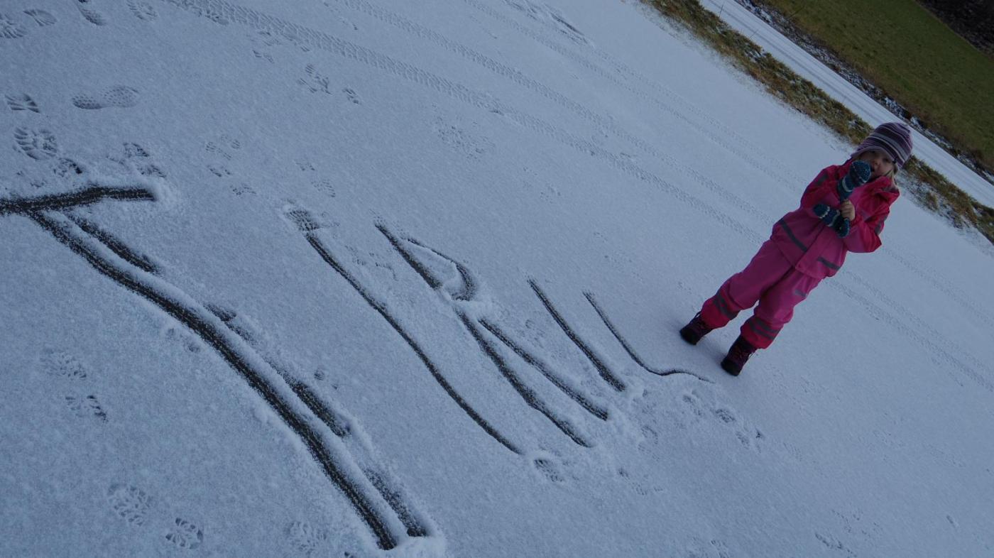 IMGP3577.thumb.JPG.13b8d4231596d3d85c32b