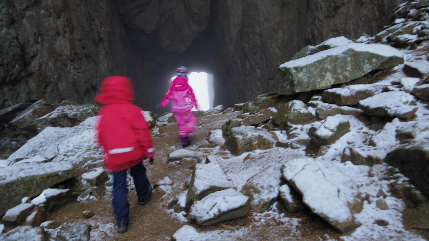 IMGP3583.thumb.JPG.9a9244834294cbb471354