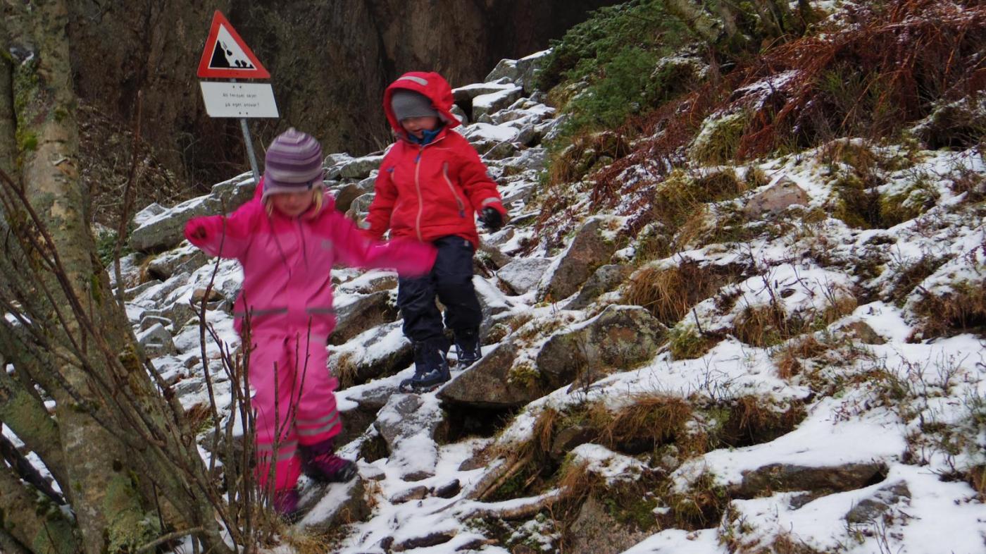 IMGP3597.thumb.JPG.efd49ab3441c81e49640e