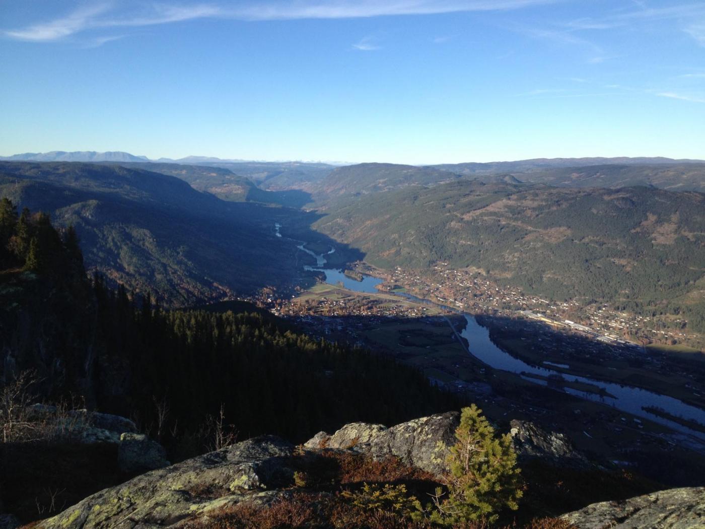 IMG_1240.thumb.JPG.413b9fc17d21d27da37bf