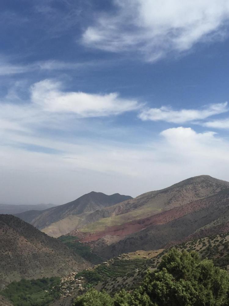 IMG_5086.thumb.JPG.9ecdb61bcfed631885b1c