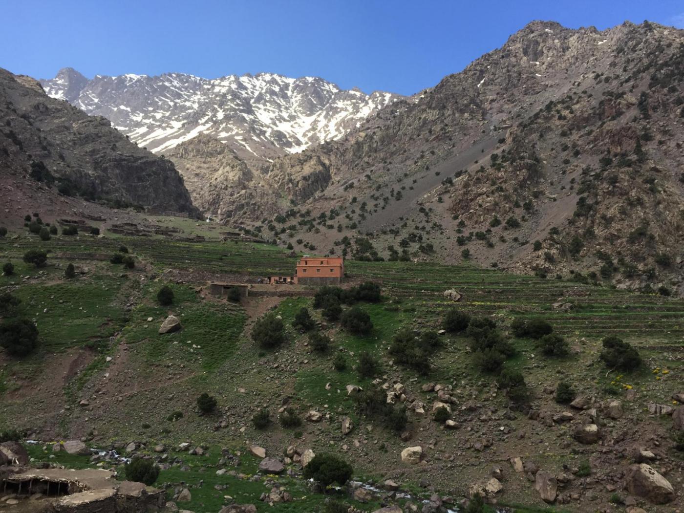 IMG_5087.thumb.JPG.8ebf95fe385d555c1e0c9