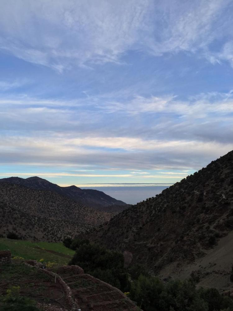 IMG_5115.thumb.JPG.3ab4e32104c0e30f08533