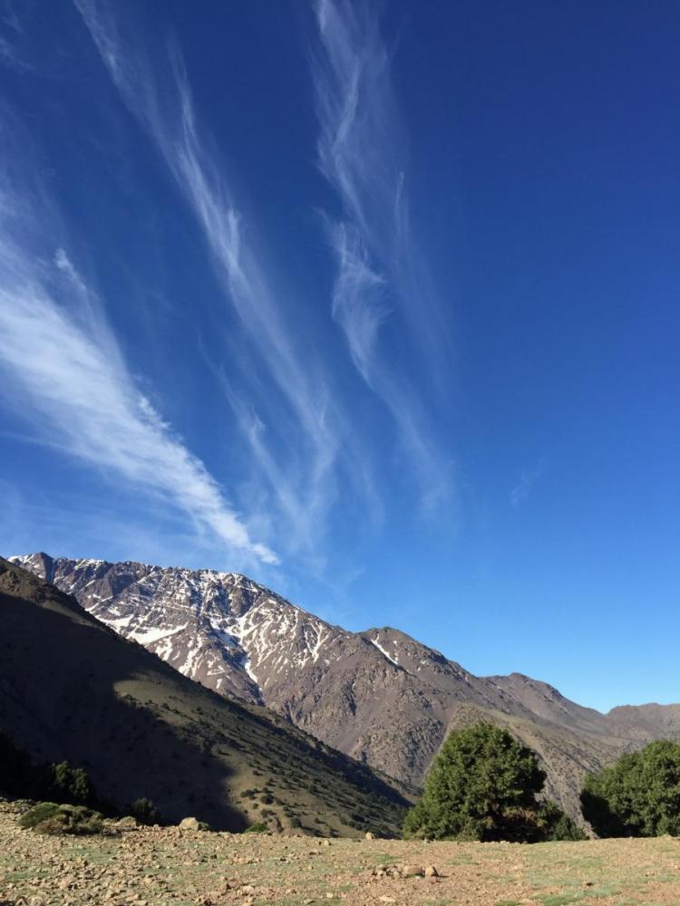 IMG_5121.thumb.JPG.09e4405f10e489c0cebcf