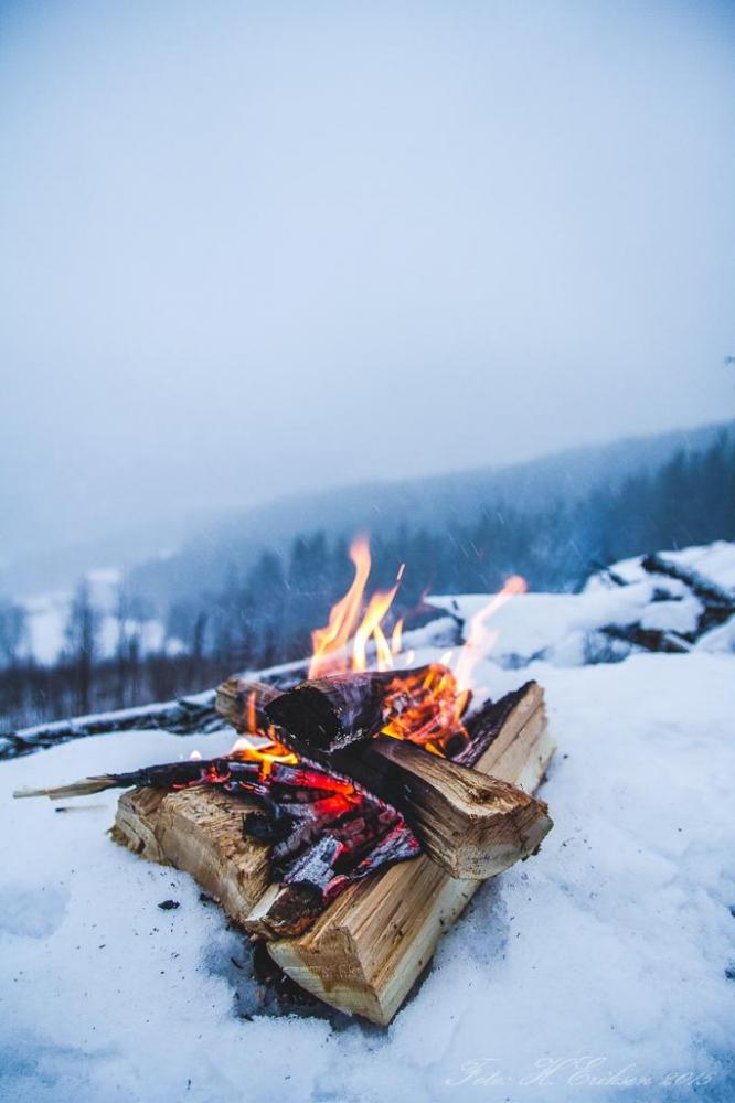 IMG_8994.thumb.jpg.38c3226f487901f5584a7