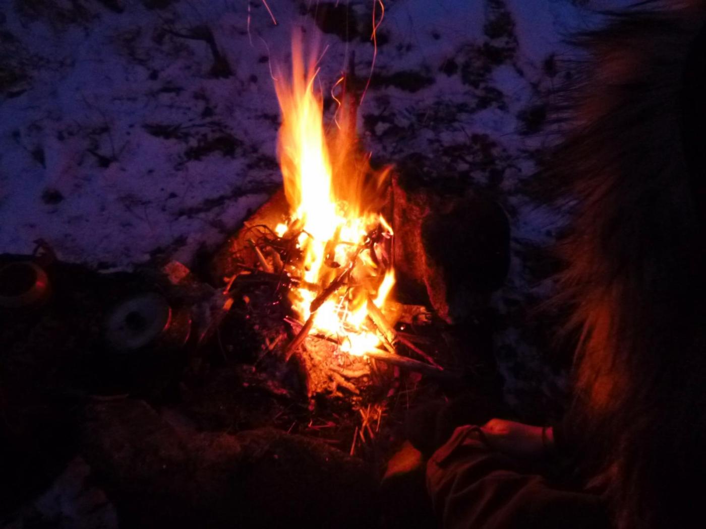 P1010125.thumb.JPG.4674cf4662974e7d92a72