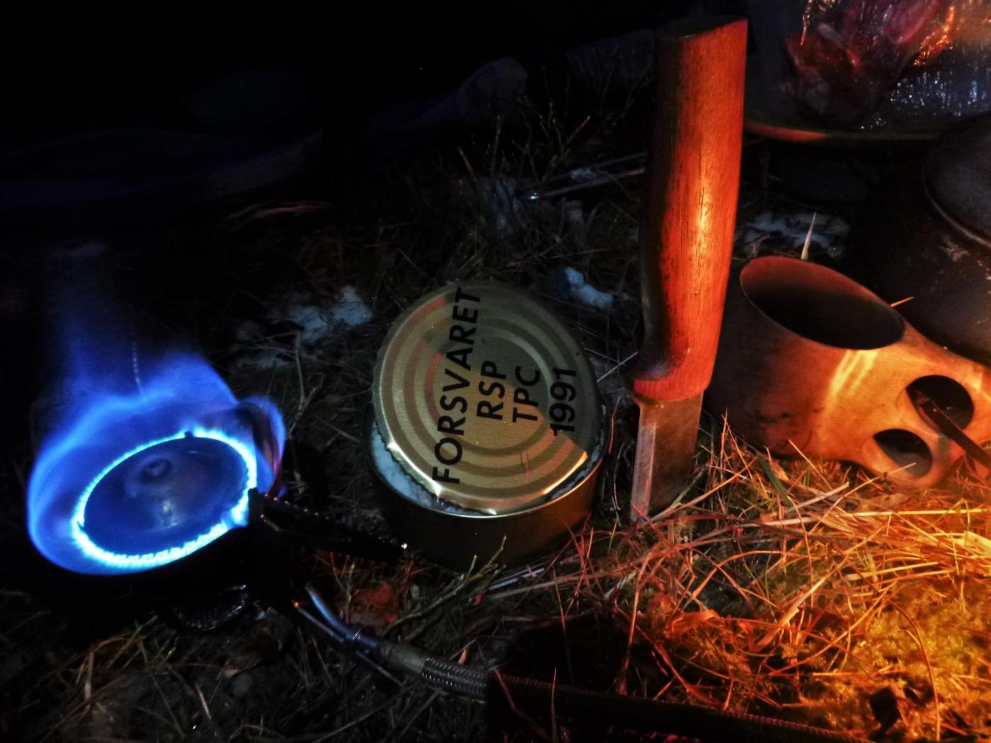 P1010135.thumb.JPG.08af0162545bf8d7f124e