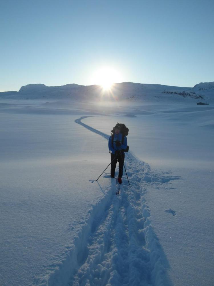 SAM_0676.thumb.JPG.aeda984921296862d08ff