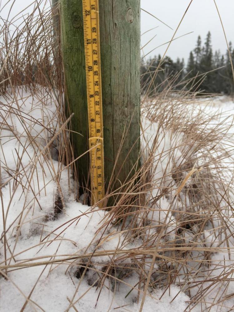 image.thumb.jpg.51db9510b5267b29aa2e8bb4