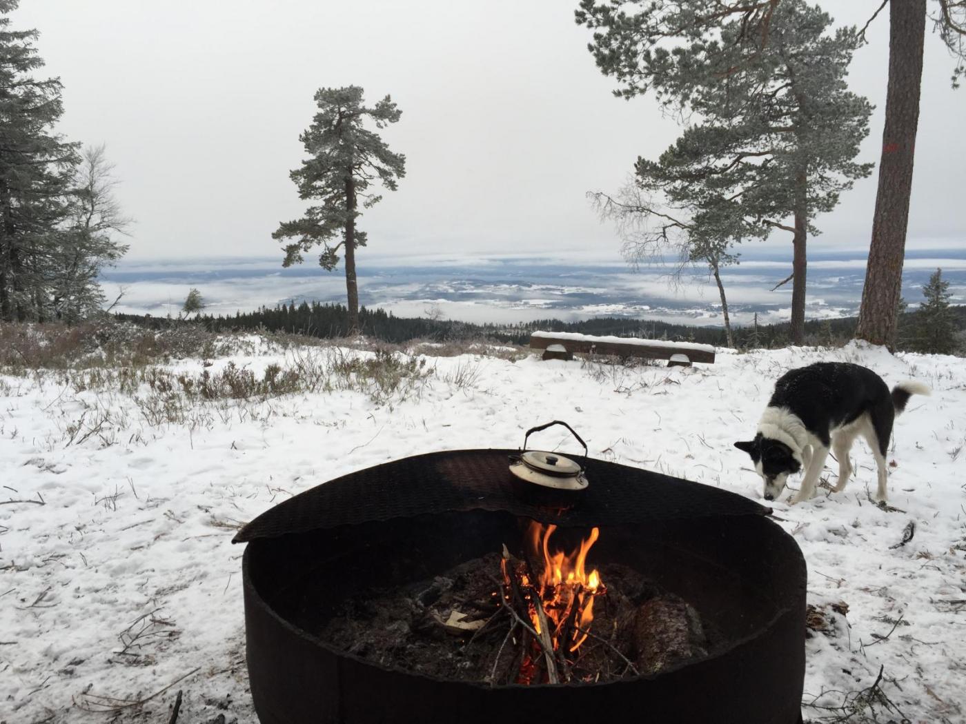 image.thumb.jpg.a4866f845ec9b0e22bf786d7