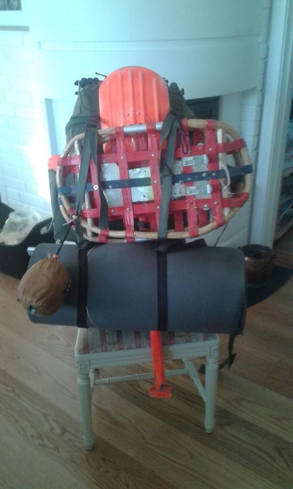 3.thumb.jpg.3116652cd694d661edeaf86f3a7e