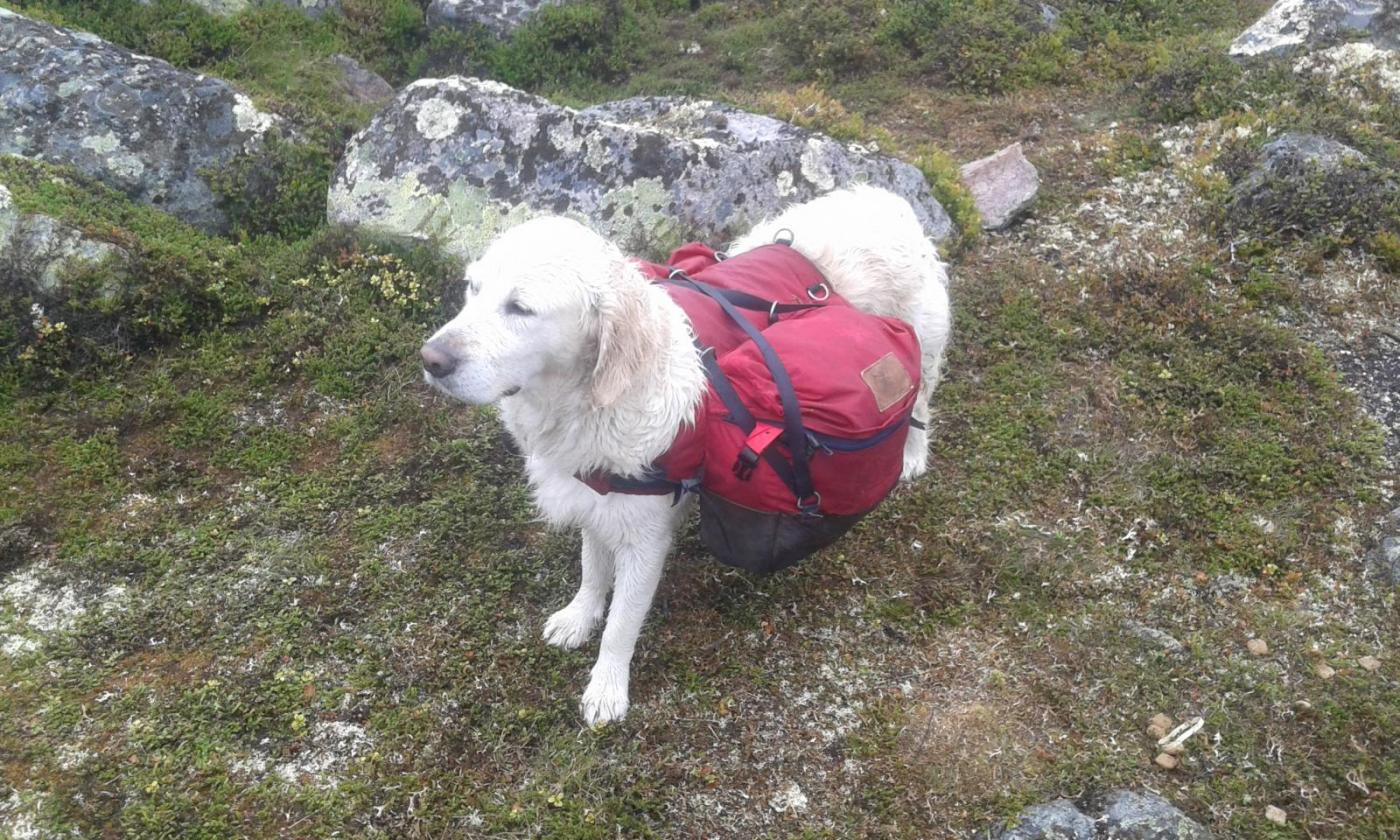 10 - 7  Lizz klar.jpg