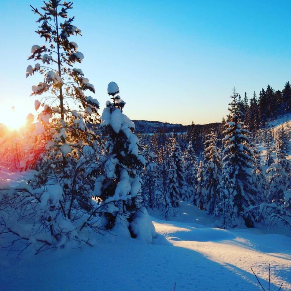 569ca4ebe2e3f_Bilde17.01.201609.36.16.th