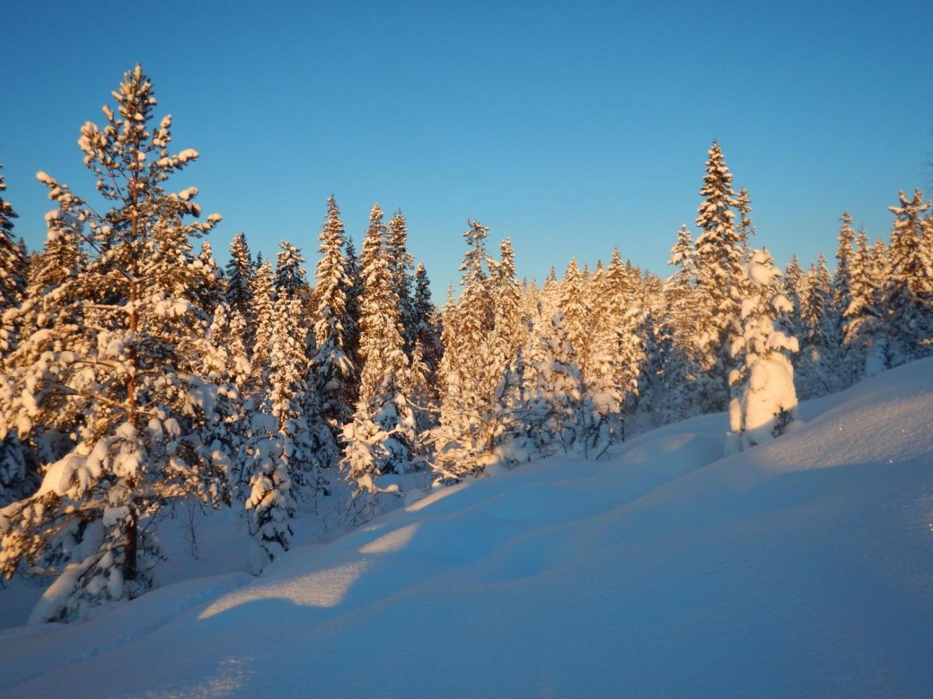 569ca4ed85a13_Bilde17.01.201609.36.34.th