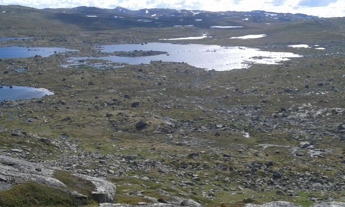 56a52a099568e_10-0bMlet1307aug2015.thumb