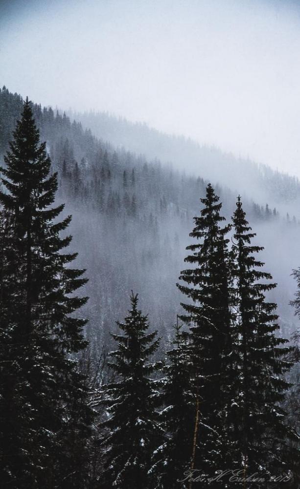 IMG_9201.thumb.jpg.fd770c171628d3c3e54f5