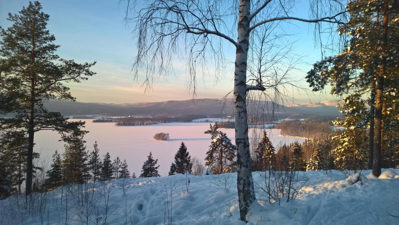 WP_20160117_15_07_36_Pro.thumb.jpg.745bc