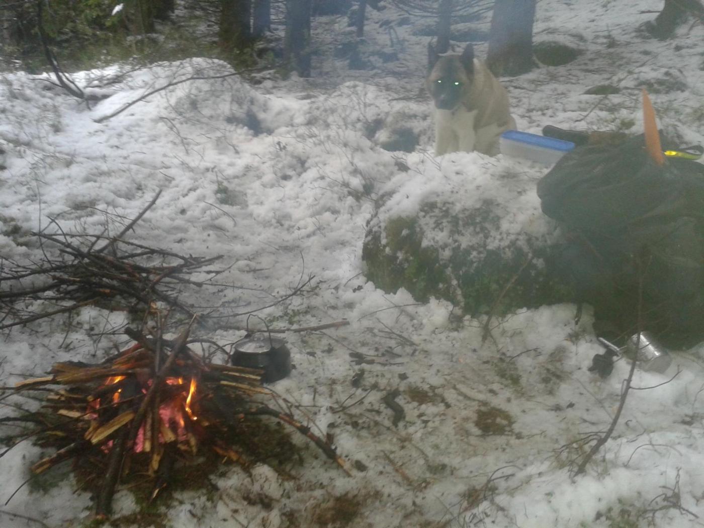 56af78888826b_drittvrkaffe.thumb.jpg.f86