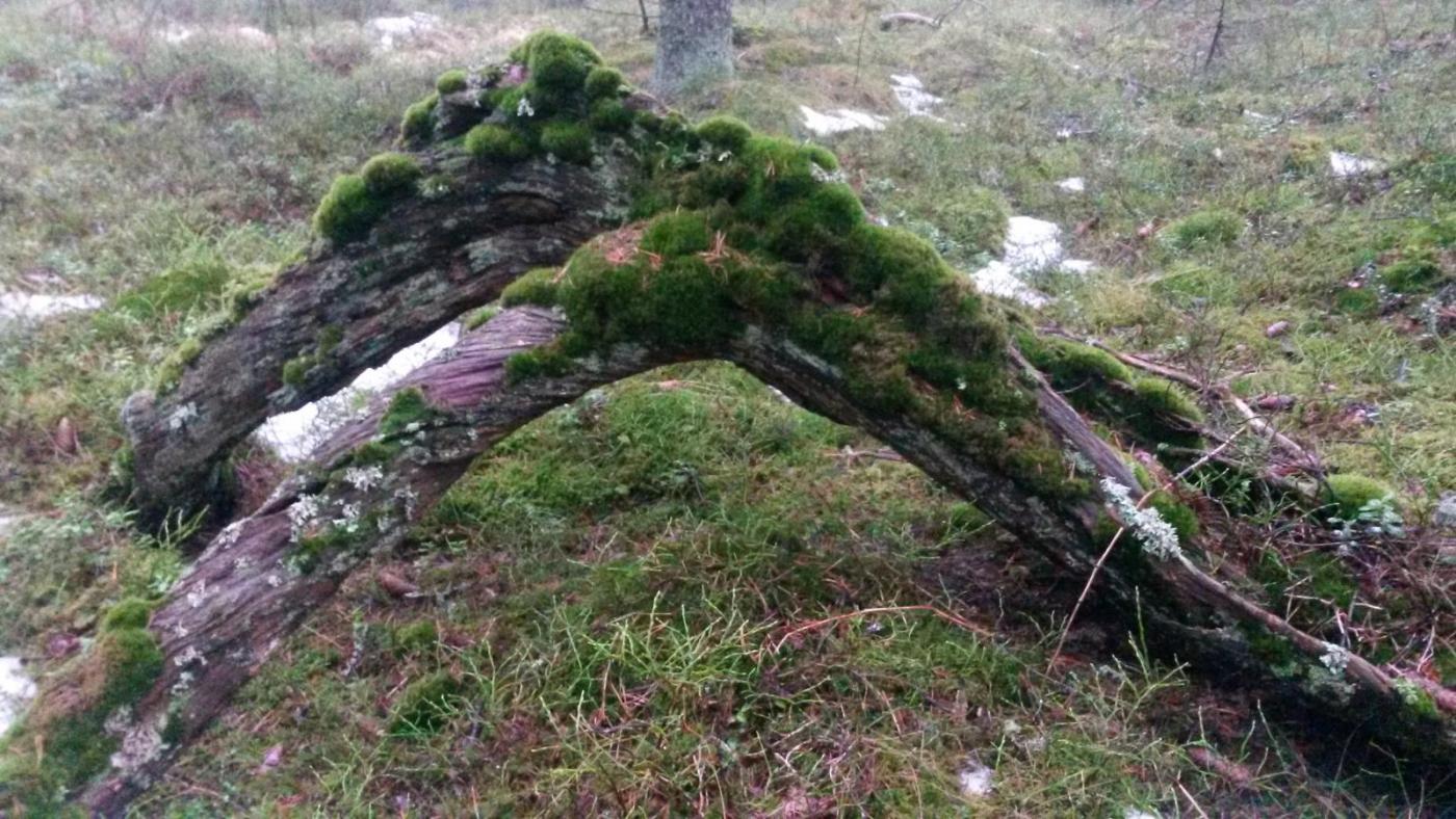 2016-02-07 14.39.55.jpg