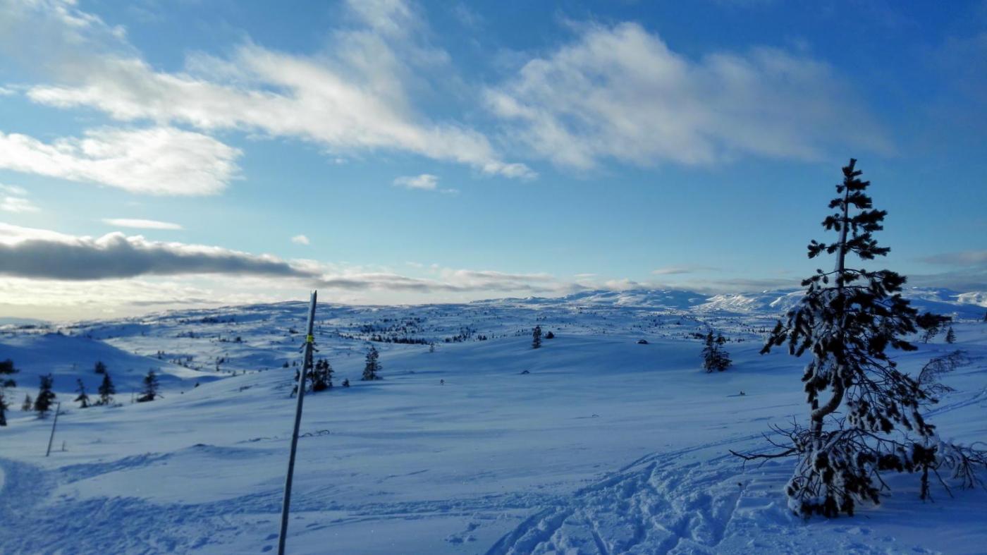 56c213aaa7bdd_2016-02-1315.06.53.thumb.j