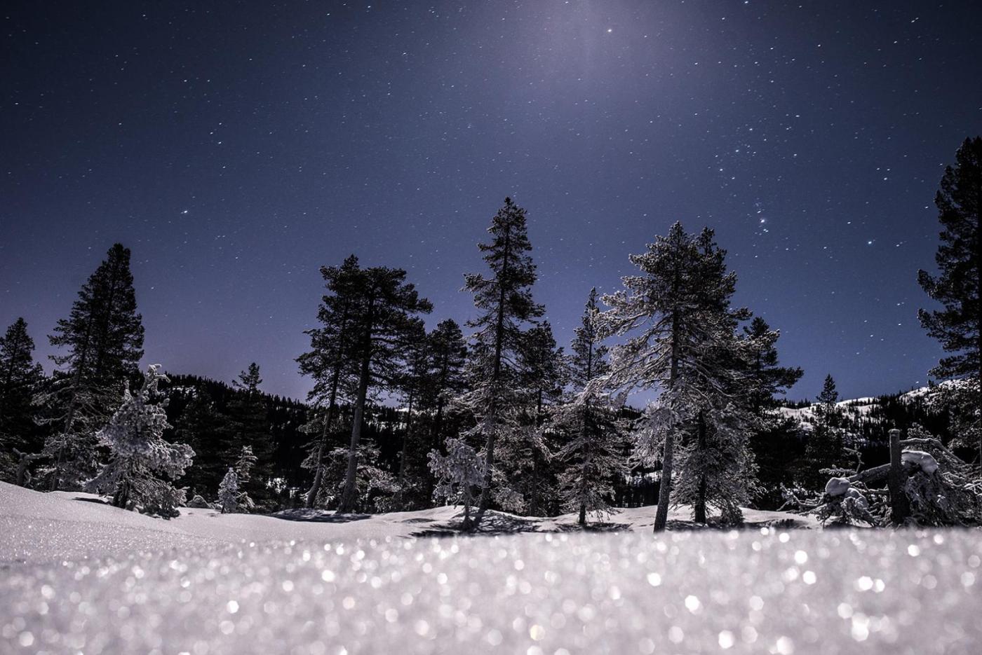 56c375ac59a85_414MneskinniTrillemarka.th