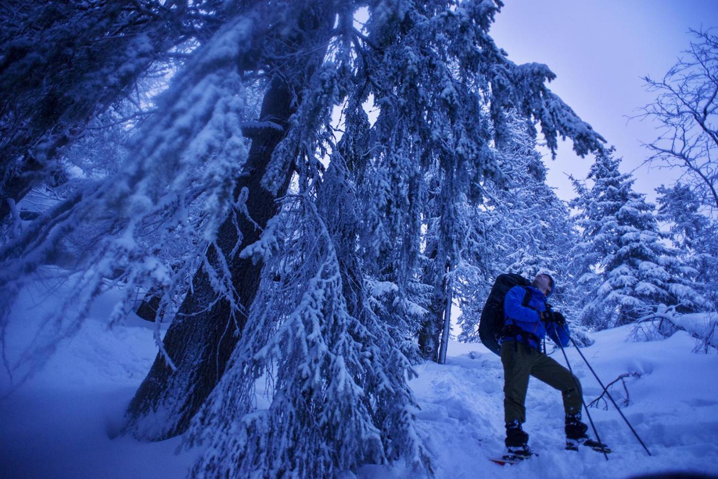 56c375b7e0dce_419BMinneskleiv.thumb.jpg.