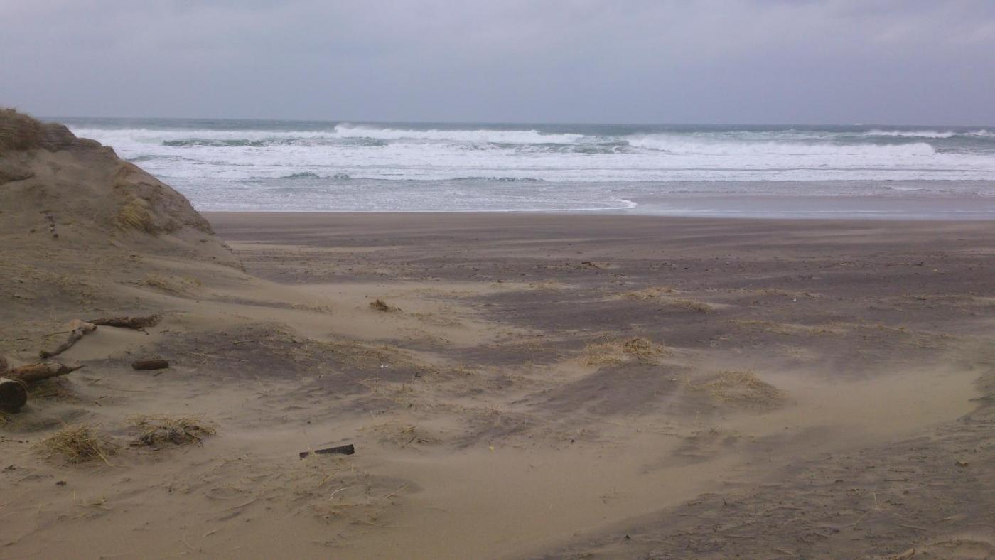 56c4ae3616463_DSC_04281.thumb.jpg.292af4