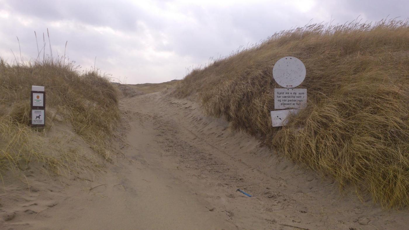 56c4b090e0404_DSC_04301.thumb.jpg.a9e607