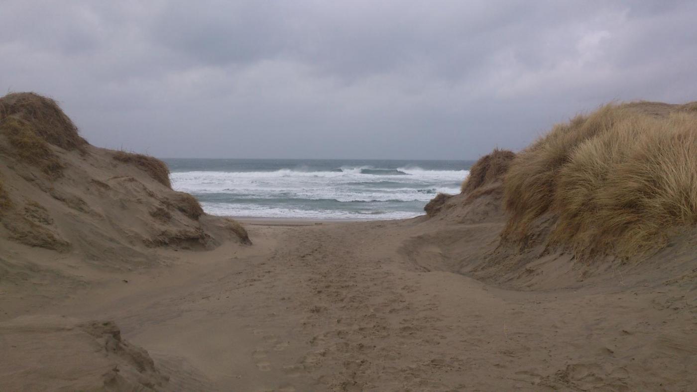 56c4b0f246263_DSC_04231.thumb.jpg.ddfc11