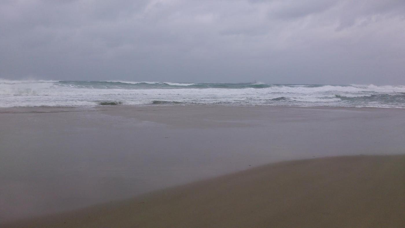 56c4b157737c3_DSC_04201.thumb.jpg.2fb647