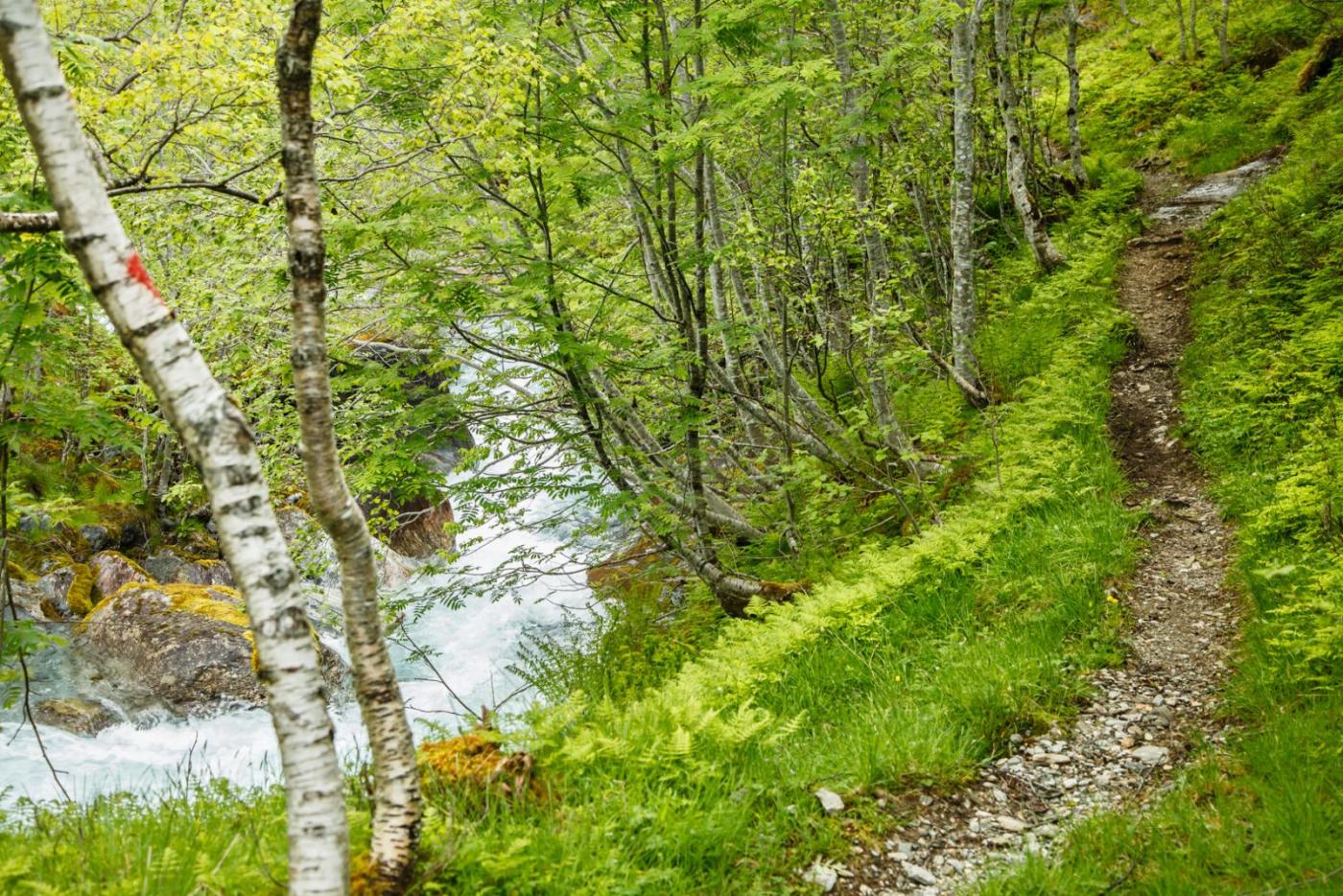 56c990c727a31_Loftskardselva(1of13).thum