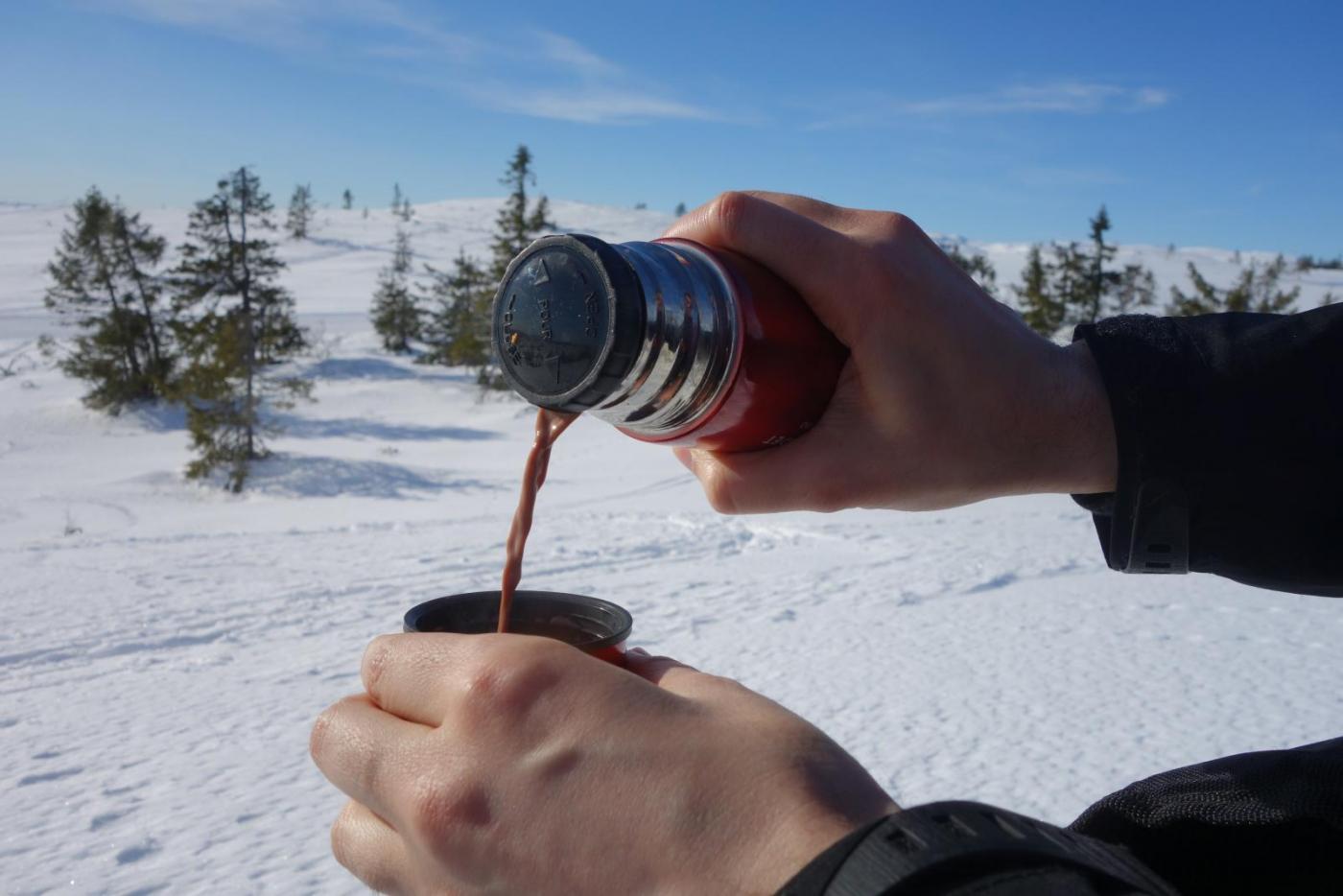 DSC09768.thumb.JPG.62c1b2a57dc7b2f2d86e3