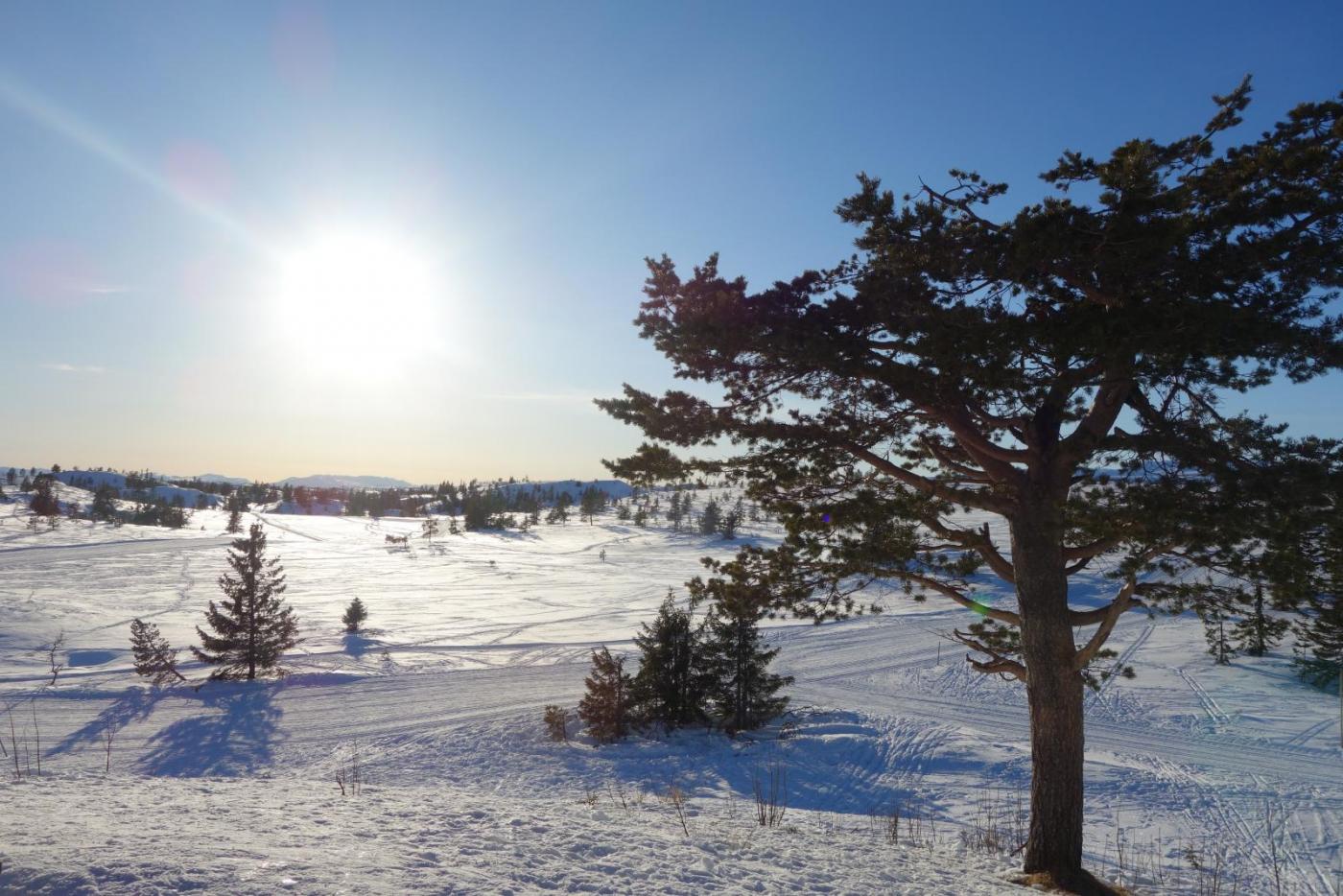 DSC09793.thumb.JPG.959d4d2205d0dd8f051e5