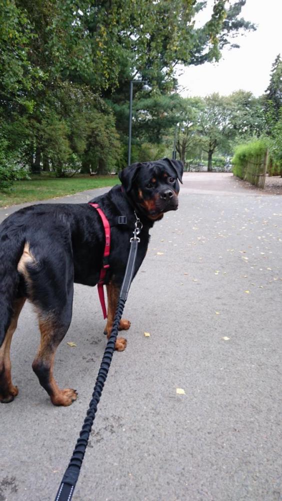 DSC_0046.thumb.JPG.f8b35e8a4ea0cdfb352da