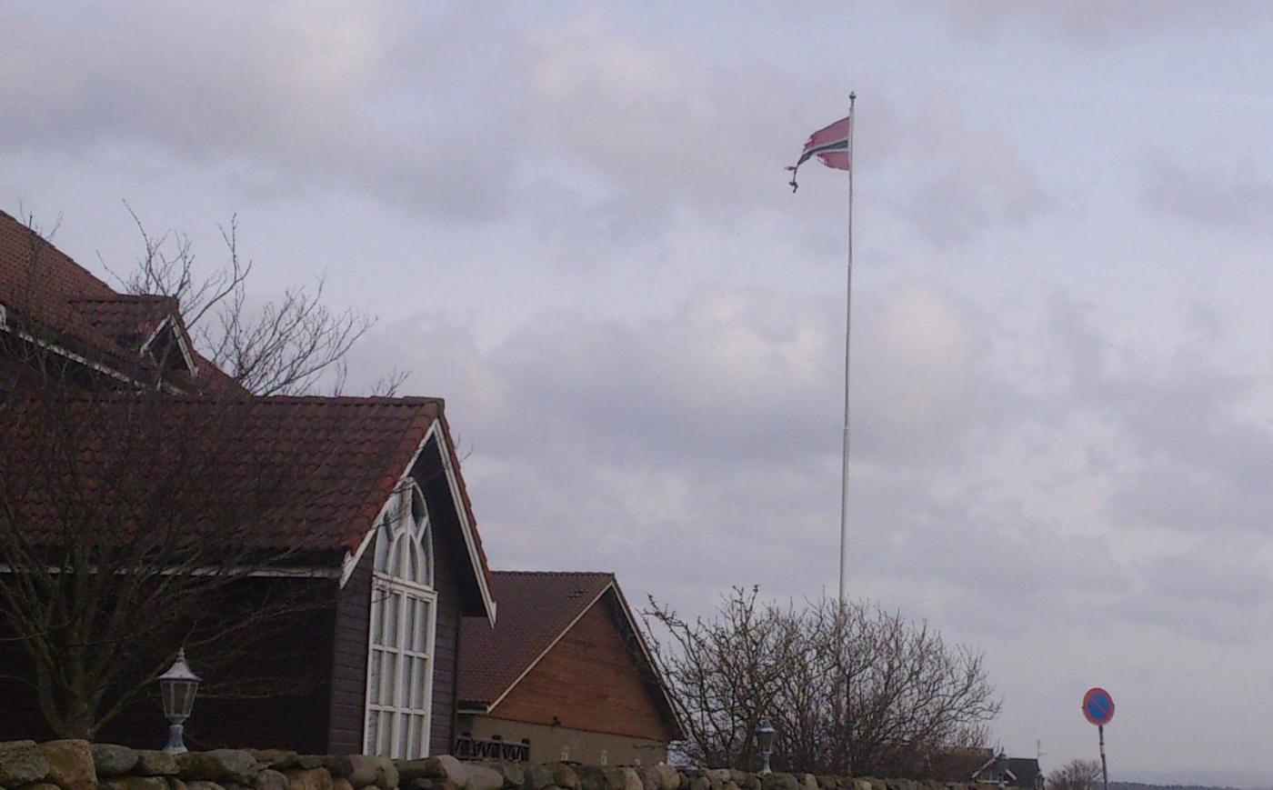 DSC_0432.thumb.jpg.b10259c91b7d6e9894b38