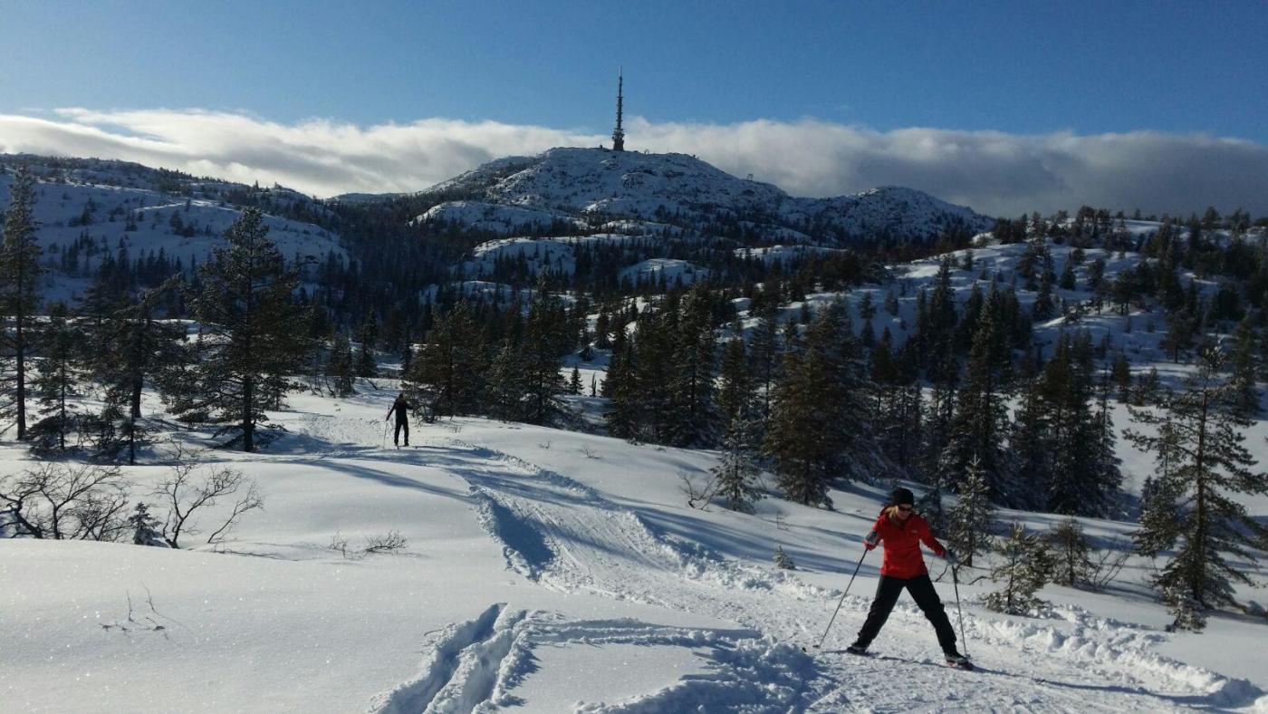 IMG-20160221-WA0013.thumb.jpg.90f6216e41