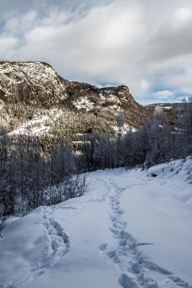 IMG_0806.thumb.jpg.6194419db72c0a928b63a