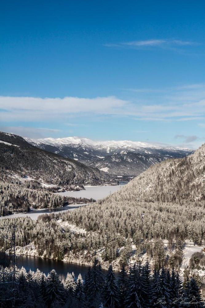 IMG_0820.thumb.jpg.3de21971c40e01ad241af