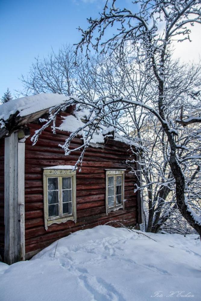 IMG_0961.thumb.jpg.33d7d751f8ed8aa22208e