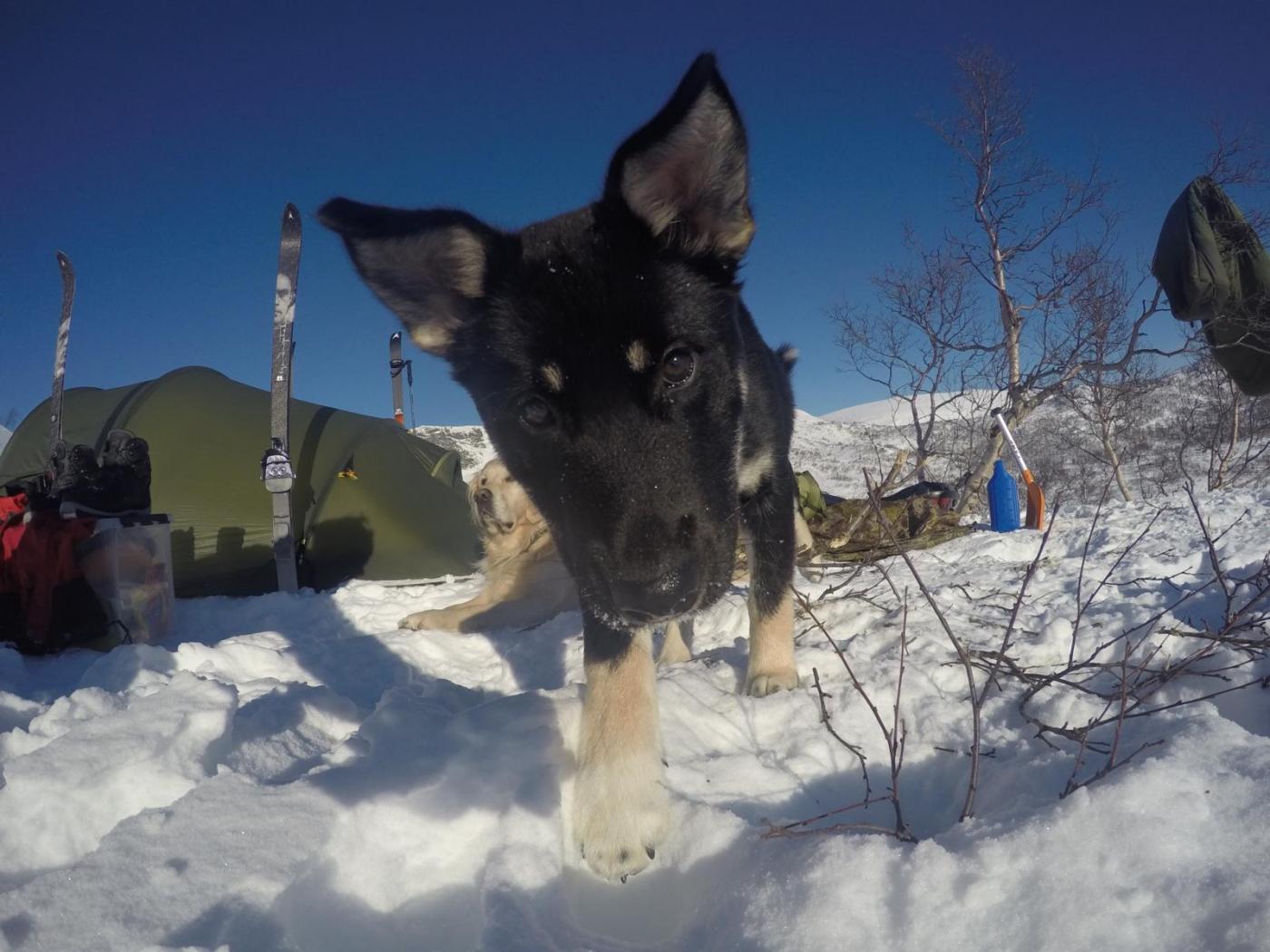 IMG_1776.thumb.JPG.340123c473551b8765642