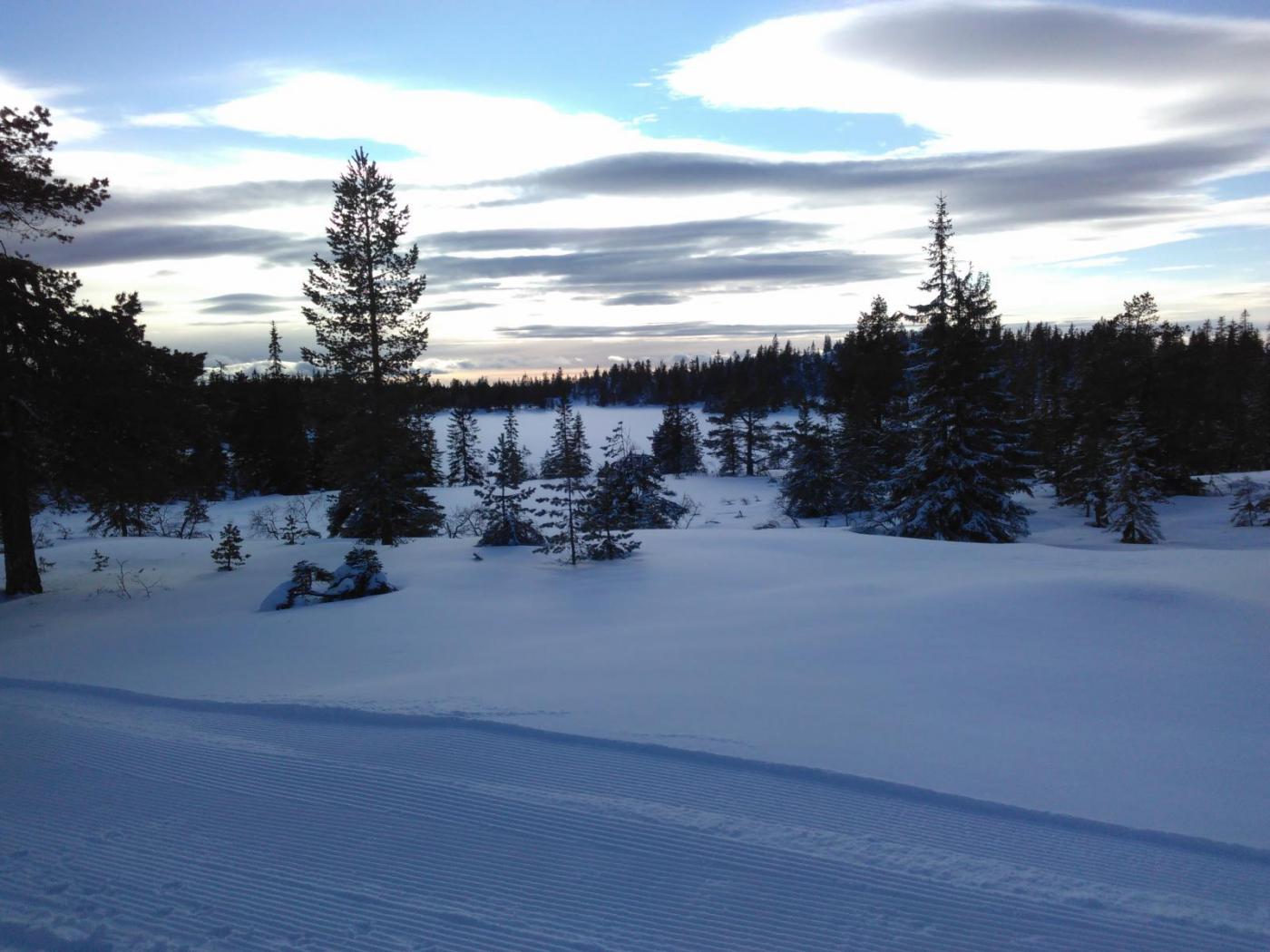 IMG_20160213_150544.thumb.jpg.0e7088df24