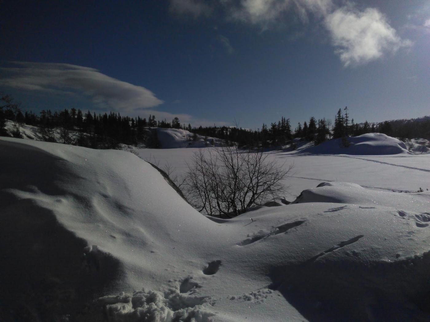 IMG_20160221_131445.thumb.jpg.8d373ecb67