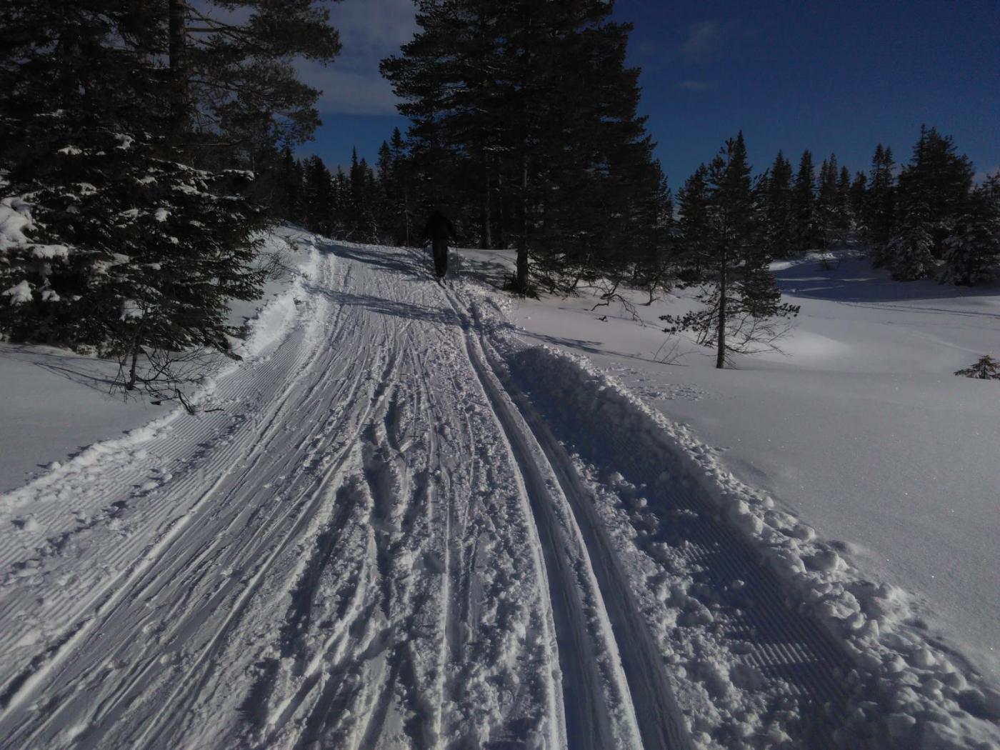 IMG_20160221_144918.thumb.jpg.9c67041646