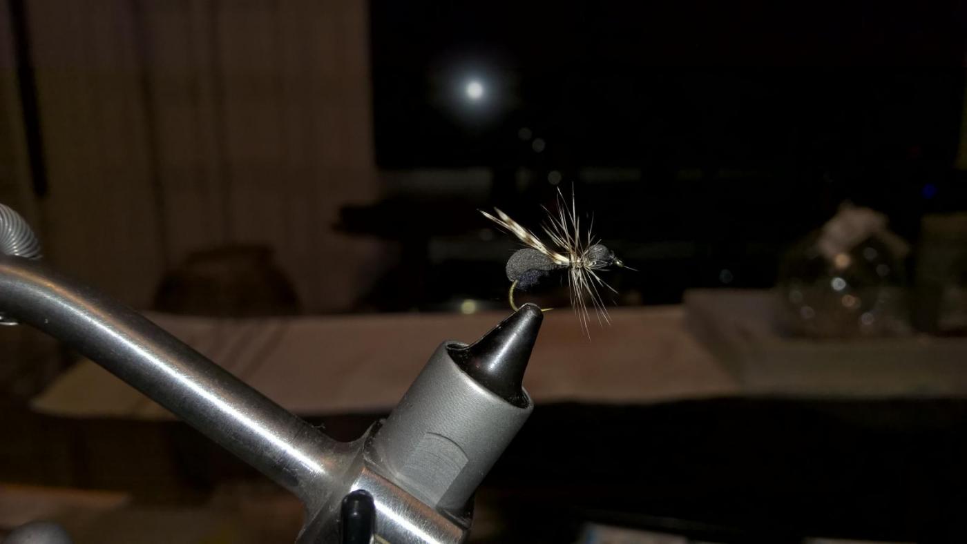 WP_20160205_18_38_12_Pro.thumb.jpg.36c2f